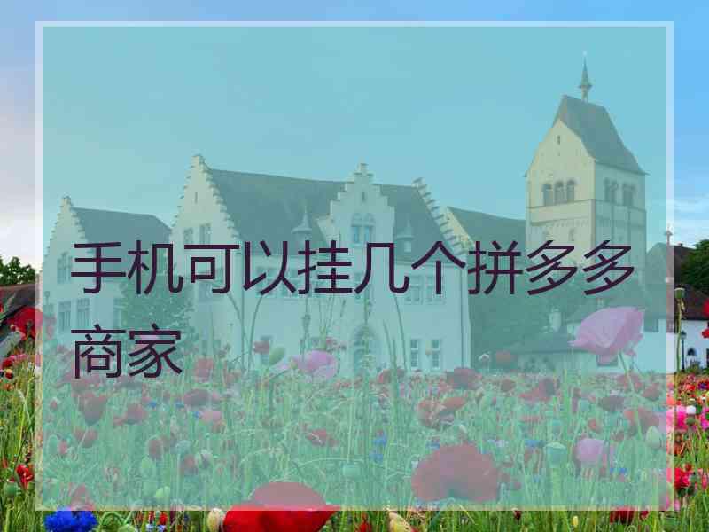 手机可以挂几个拼多多商家