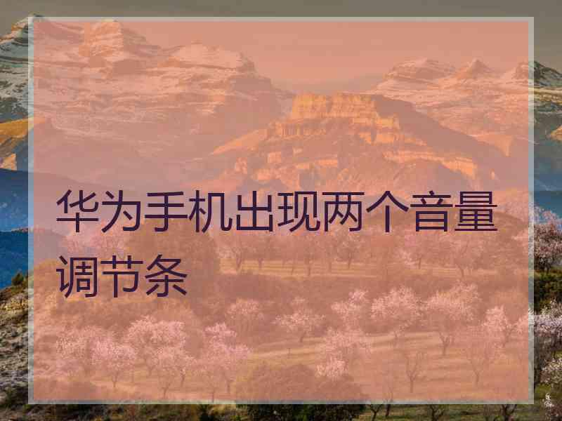 华为手机出现两个音量调节条