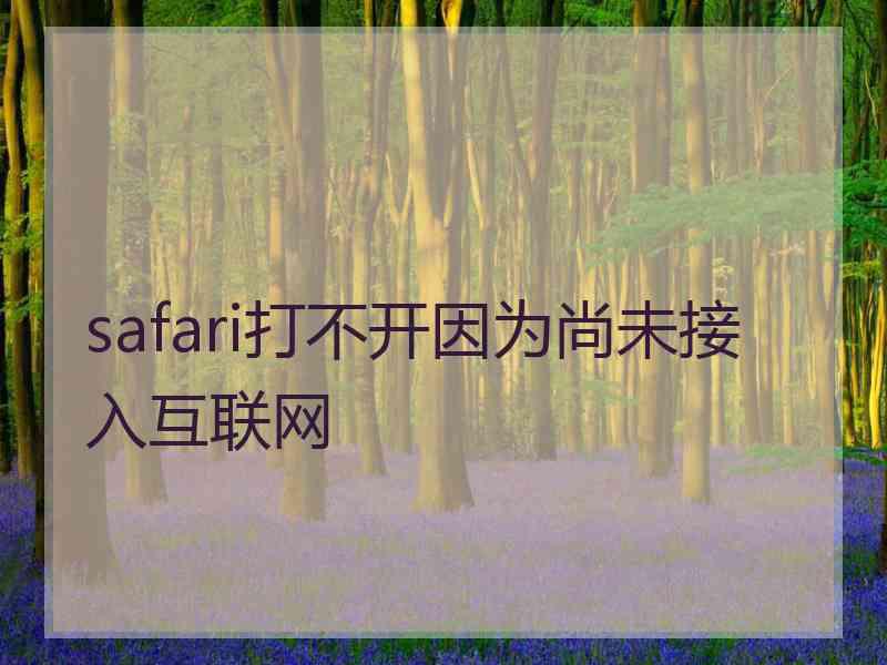 safari打不开因为尚未接入互联网