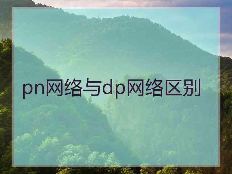 pn网络与dp网络区别