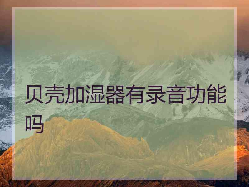 贝壳加湿器有录音功能吗