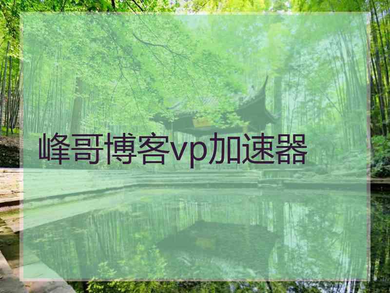 峰哥博客vp加速器