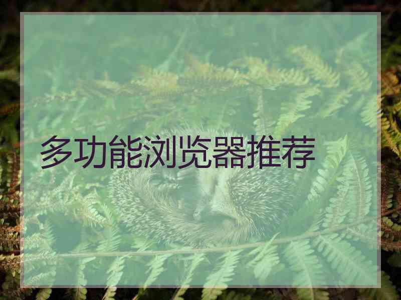 多功能浏览器推荐
