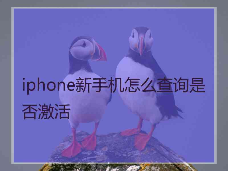 iphone新手机怎么查询是否激活