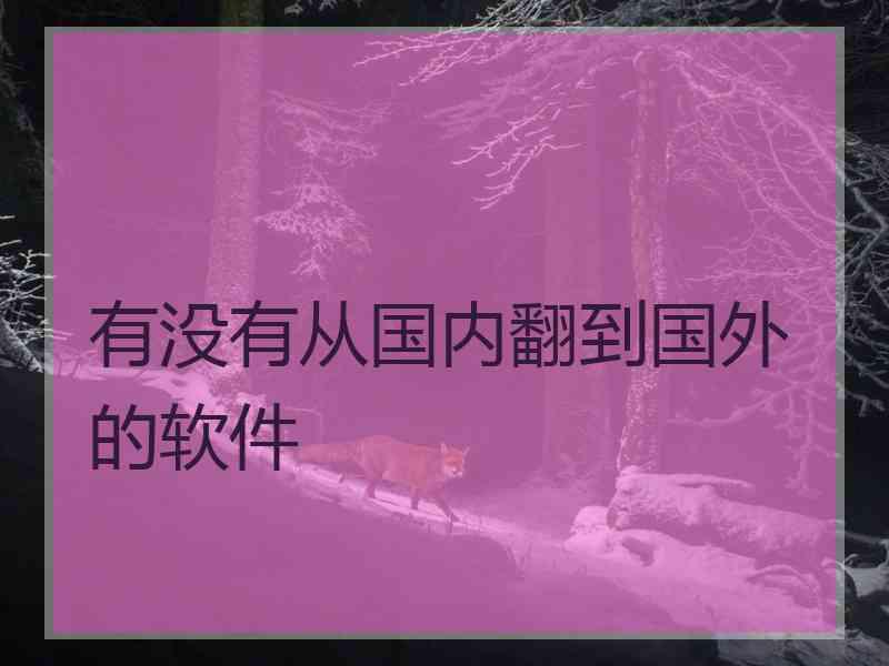 有没有从国内翻到国外的软件