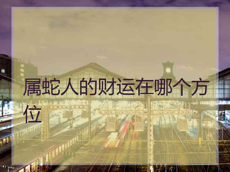 属蛇人的财运在哪个方位