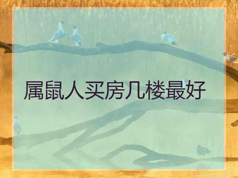 属鼠人买房几楼最好