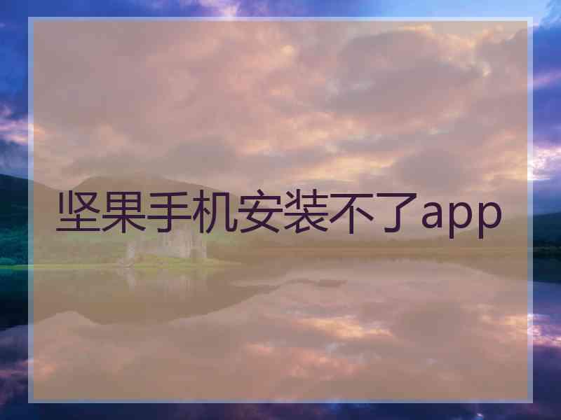 坚果手机安装不了app