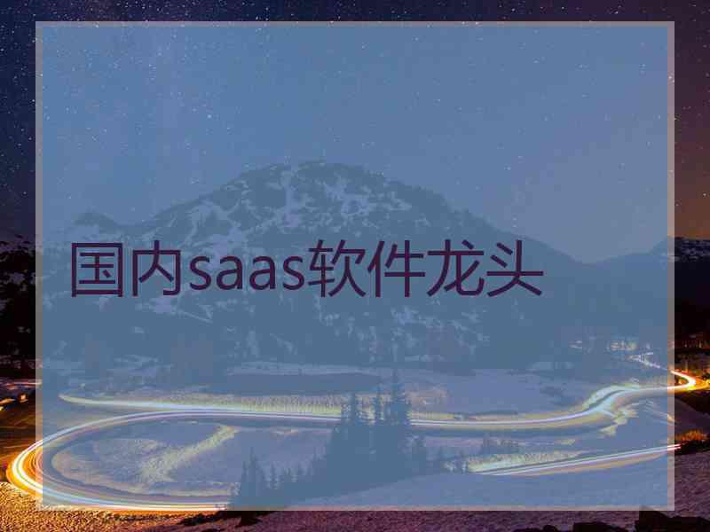 国内saas软件龙头