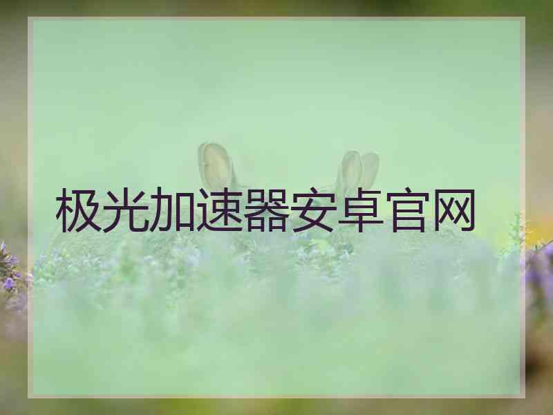 极光加速器安卓官网
