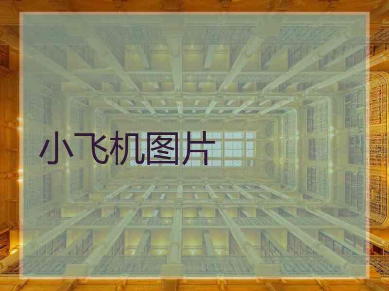 小飞机图片