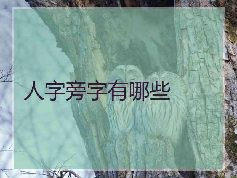 人字旁字有哪些