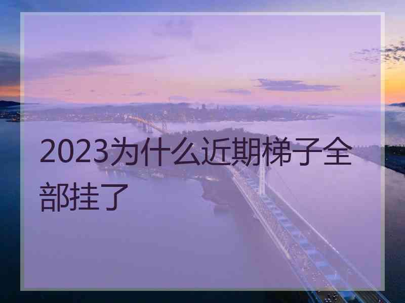 2023为什么近期梯子全部挂了