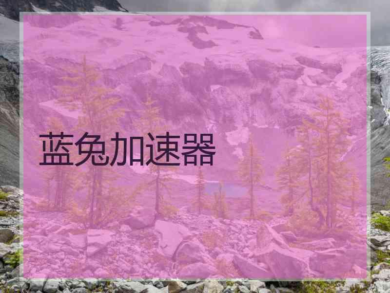 蓝兔加速器