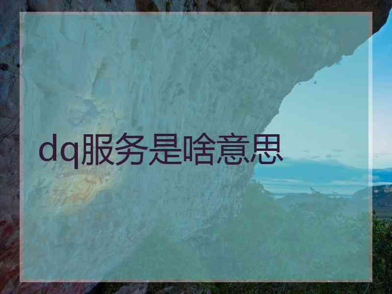 dq服务是啥意思