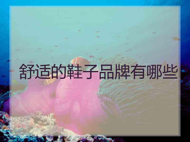 舒适的鞋子品牌有哪些