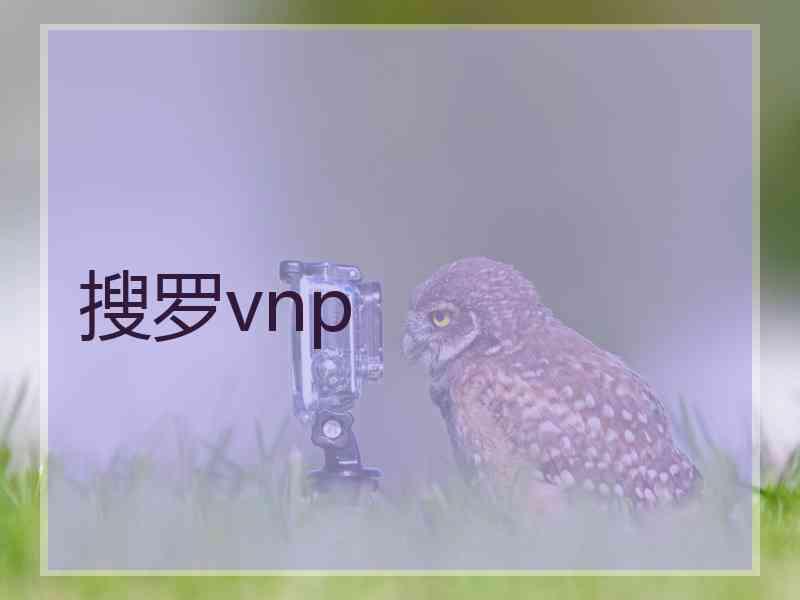 搜罗vnp