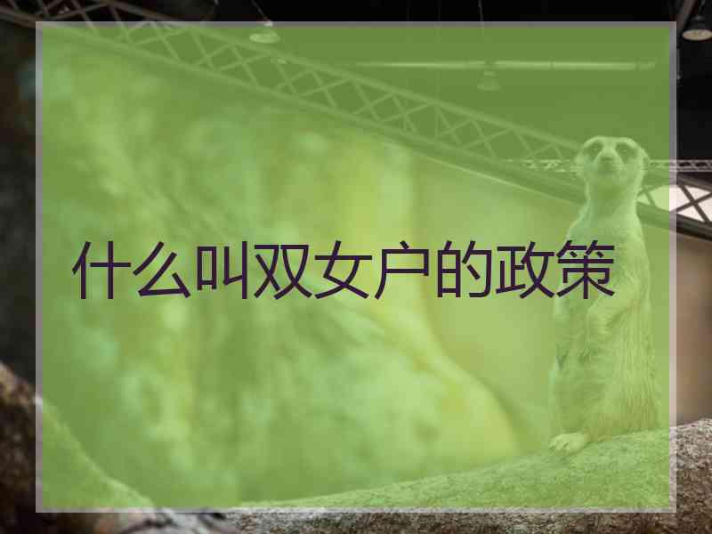 什么叫双女户的政策