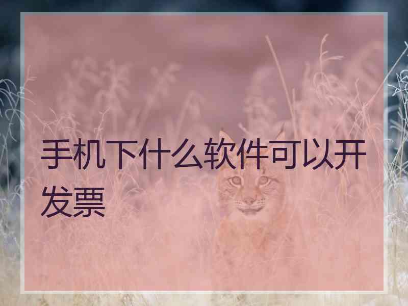 手机下什么软件可以开发票