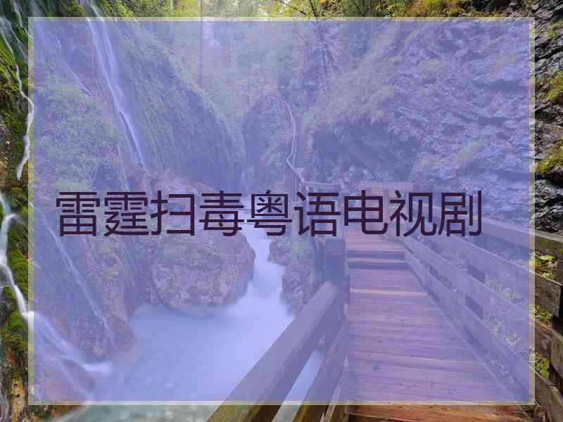 雷霆扫毒粤语电视剧