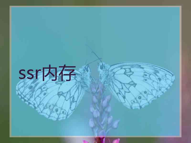 ssr内存