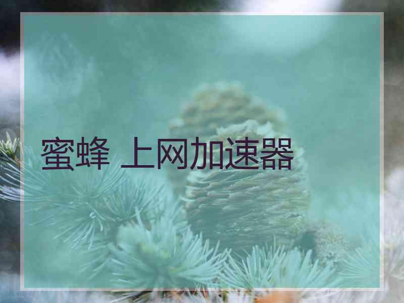 蜜蜂 上网加速器