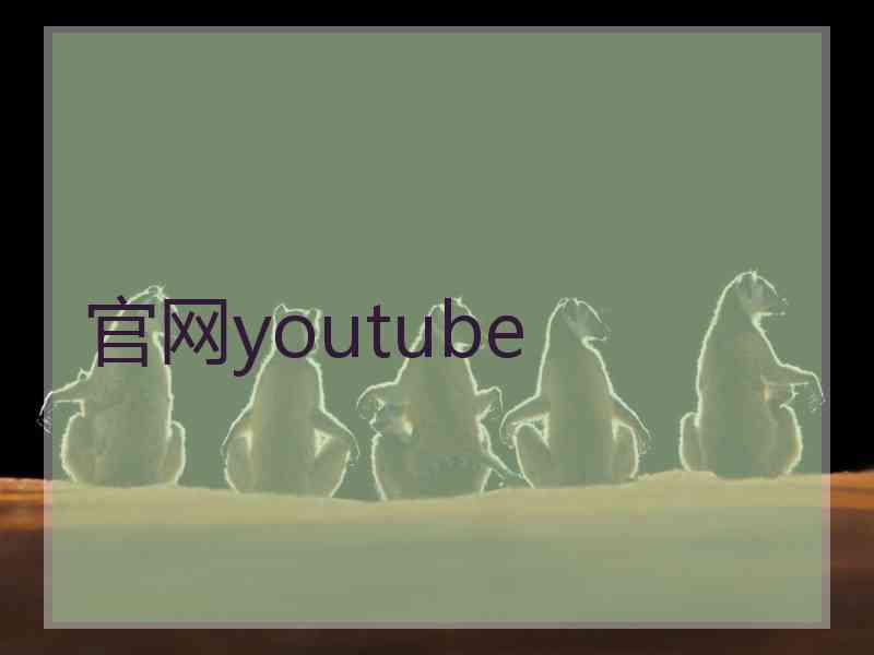 官网youtube
