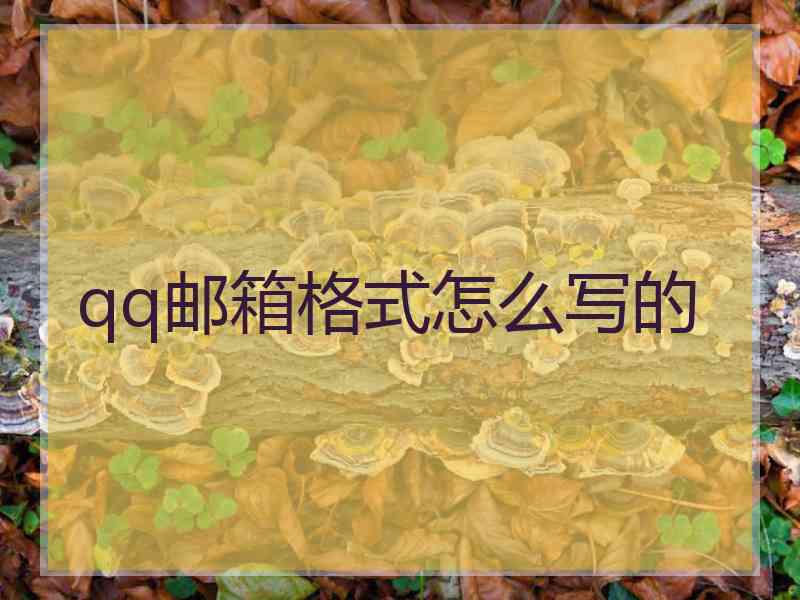 qq邮箱格式怎么写的