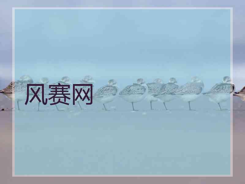 风赛网