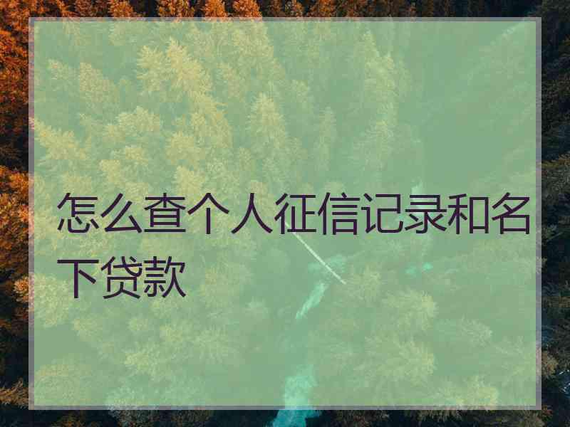 怎么查个人征信记录和名下贷款