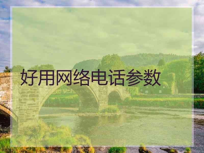 好用网络电话参数