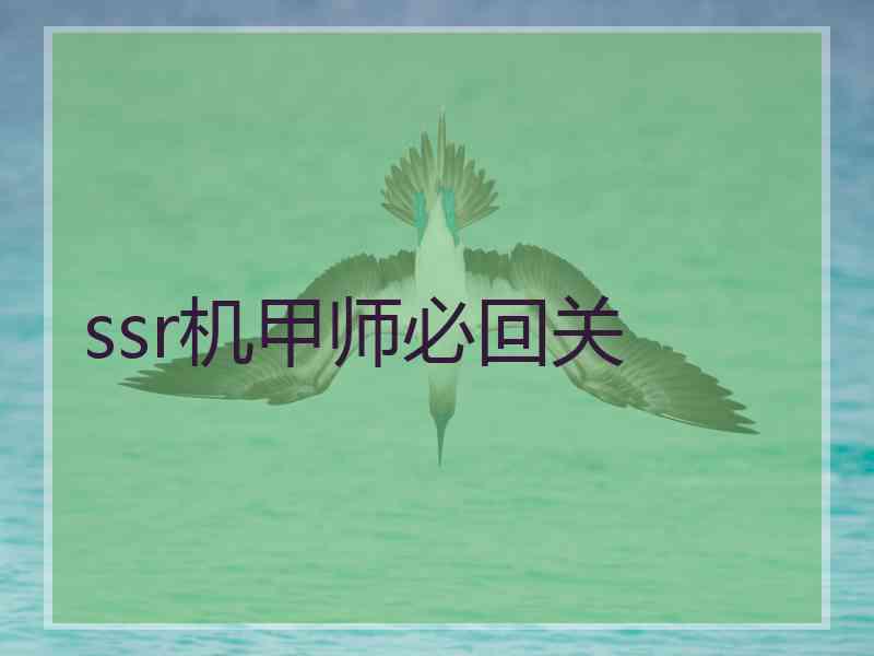 ssr机甲师必回关