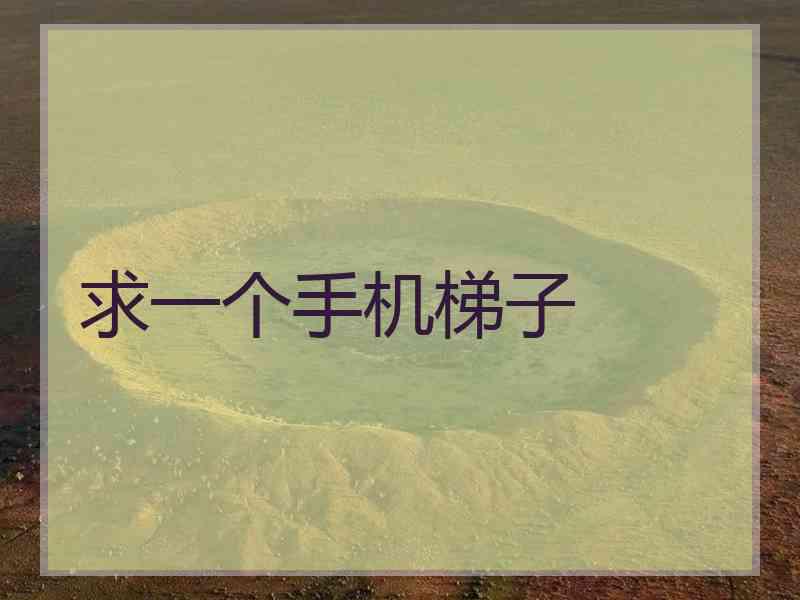 求一个手机梯子