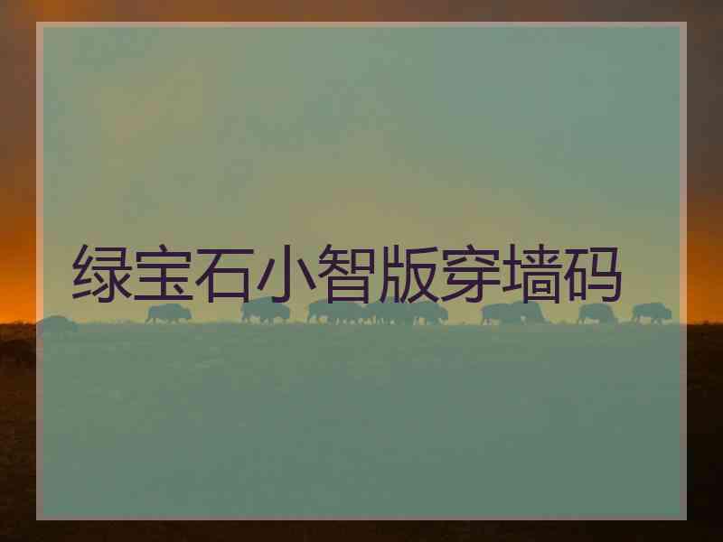 绿宝石小智版穿墙码