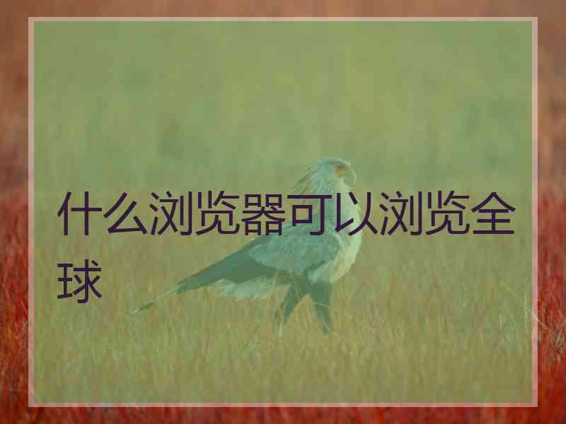 什么浏览器可以浏览全球