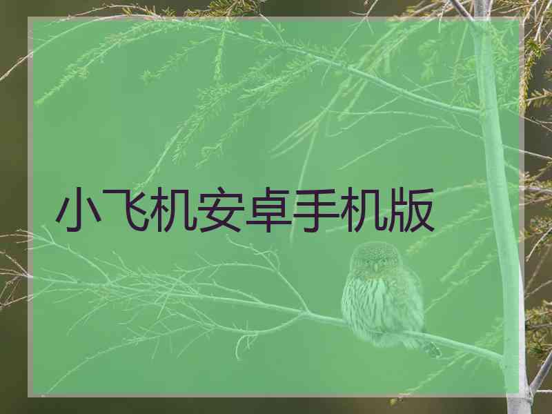 小飞机安卓手机版