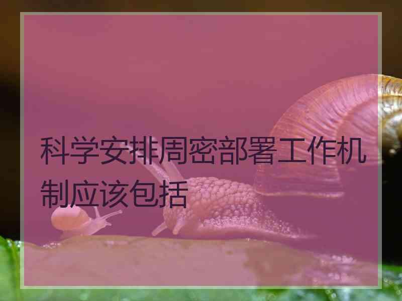 科学安排周密部署工作机制应该包括