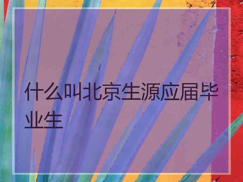 什么叫北京生源应届毕业生
