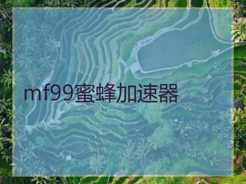 mf99蜜蜂加速器