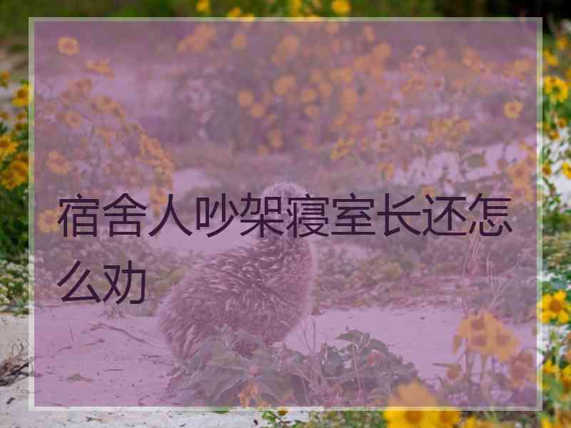 宿舍人吵架寝室长还怎么劝