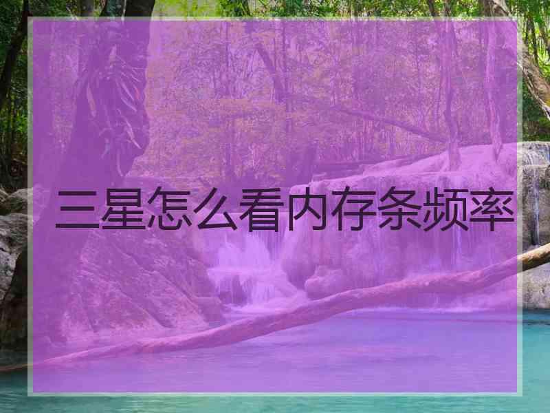 三星怎么看内存条频率