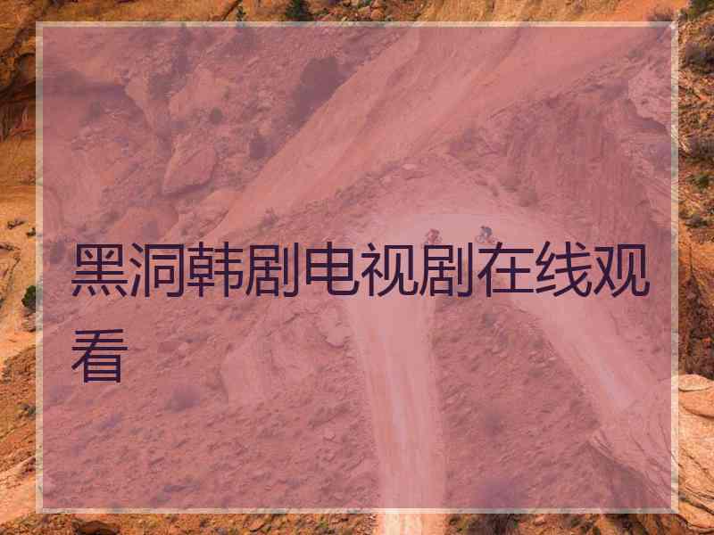 黑洞韩剧电视剧在线观看