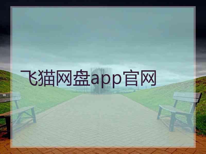 飞猫网盘app官网