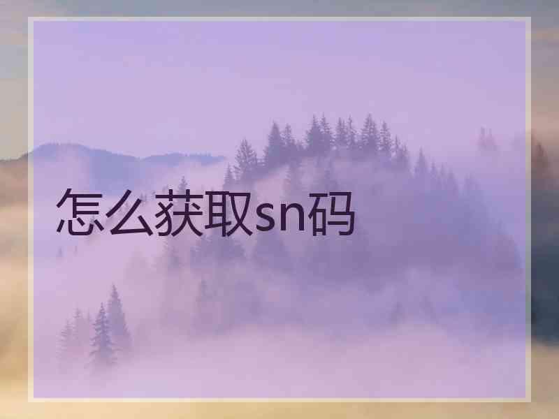 怎么获取sn码