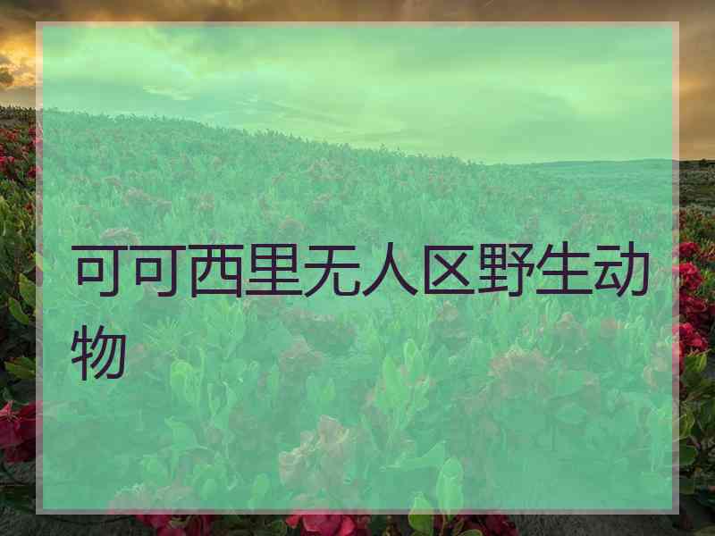 可可西里无人区野生动物