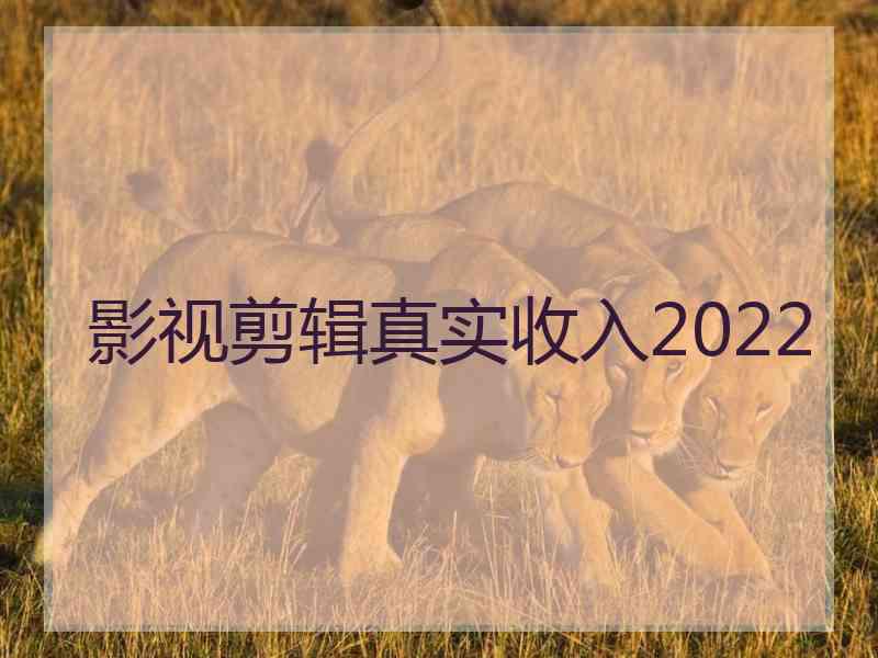 影视剪辑真实收入2022
