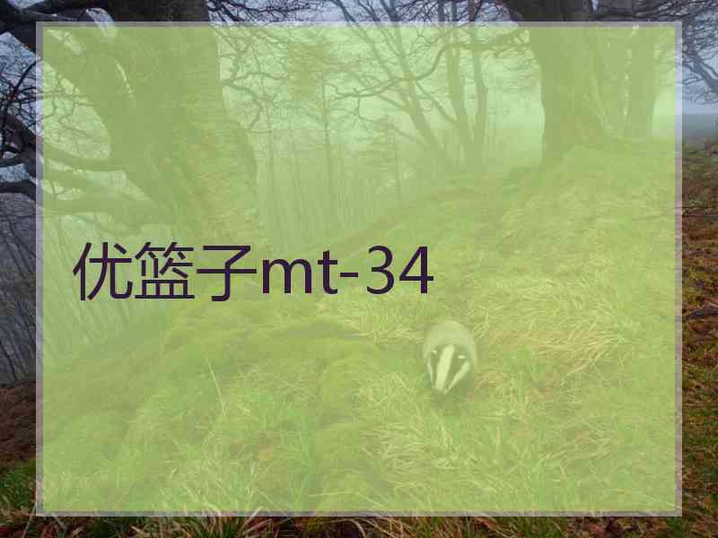 优篮子mt-34