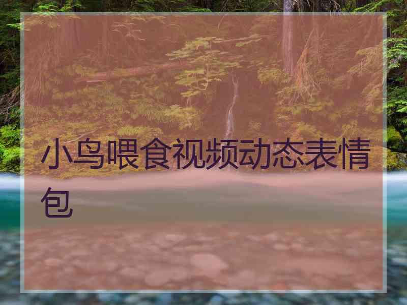 小鸟喂食视频动态表情包