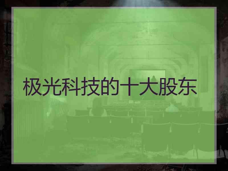 极光科技的十大股东