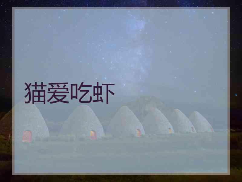 猫爱吃虾